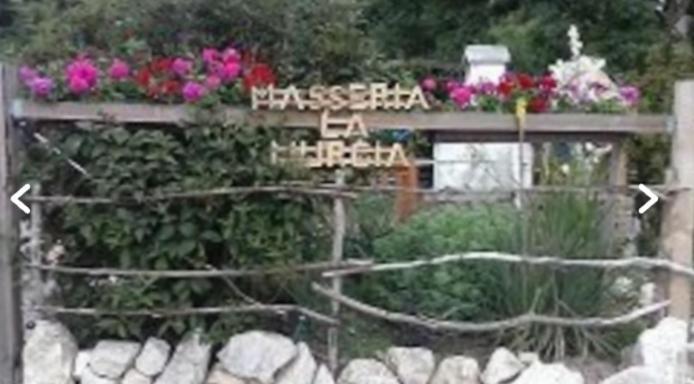 Wildcamp Resort Masseria La Murgia Unterkunft In Einem Wohnwagen Rimbach  Exterior foto